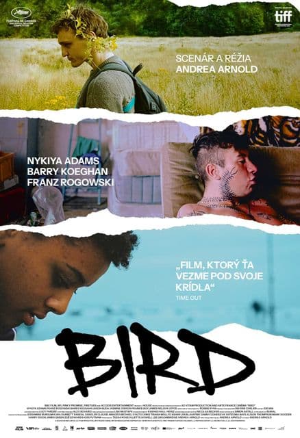 Bird